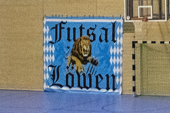 Futsal TSV 1860 München – Futsallöwen